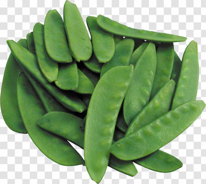Lablab Bean Lentil Food Vegetable - Common Transparent PNG