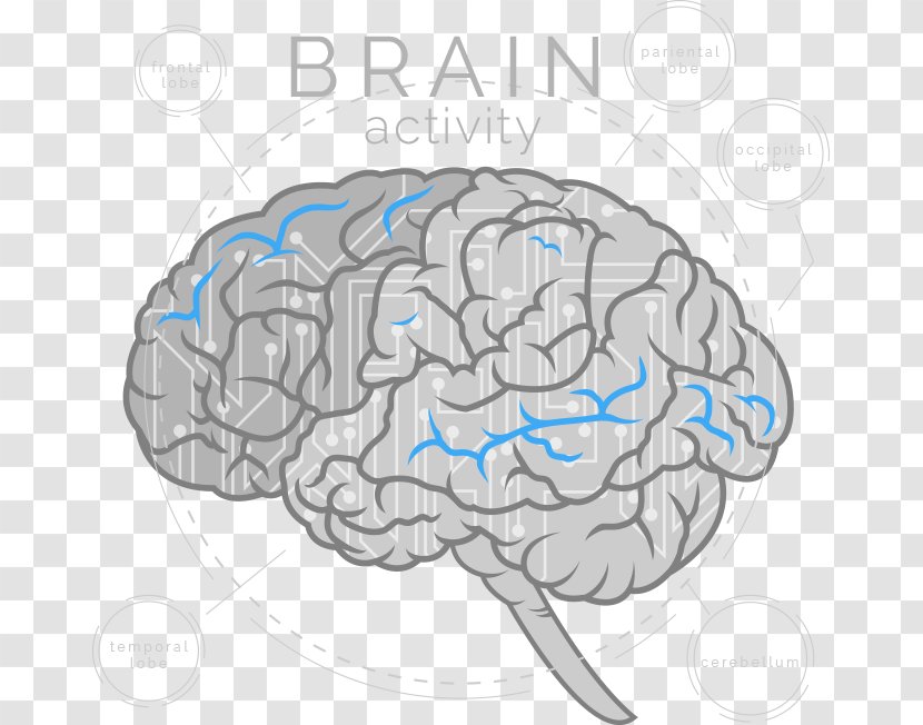 Brain Cerebrum Artificial Intelligence Neuroscience Neurofeedback - Tree Transparent PNG