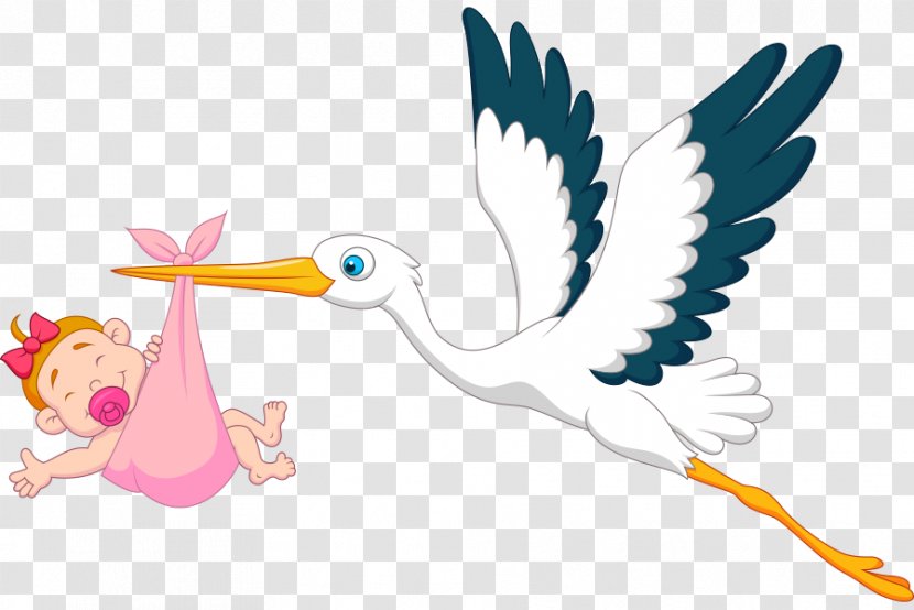 Infant Clip Art - Bird - Stock Photography Transparent PNG