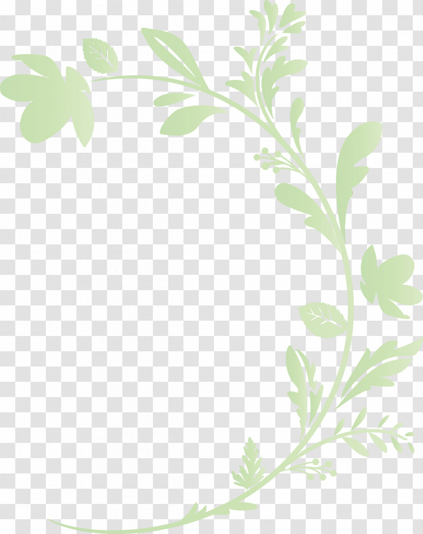 Leaf Plant Flower Plant Stem Pedicel Transparent PNG