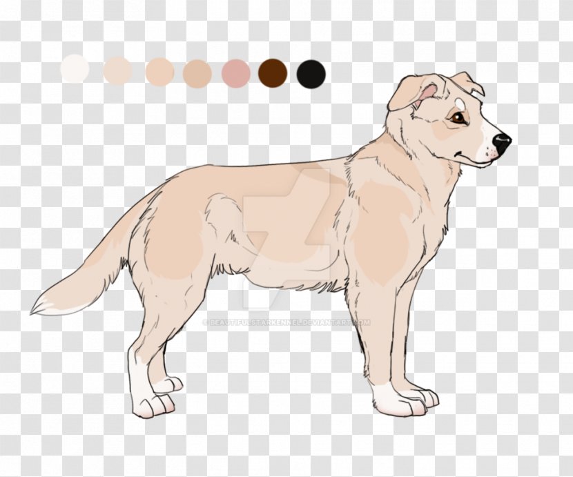 Dog Breed Puppy Sporting Group Retriever Transparent PNG