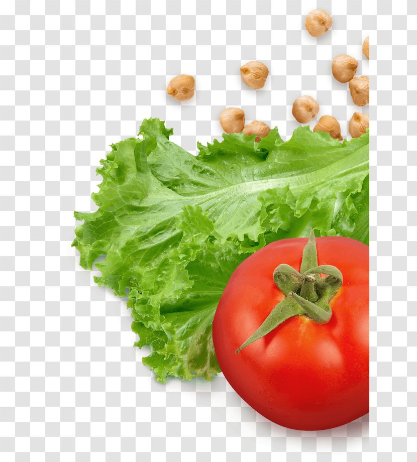Tomato Vegetarian Cuisine Lettuce Food Salad - Kitchen Transparent PNG