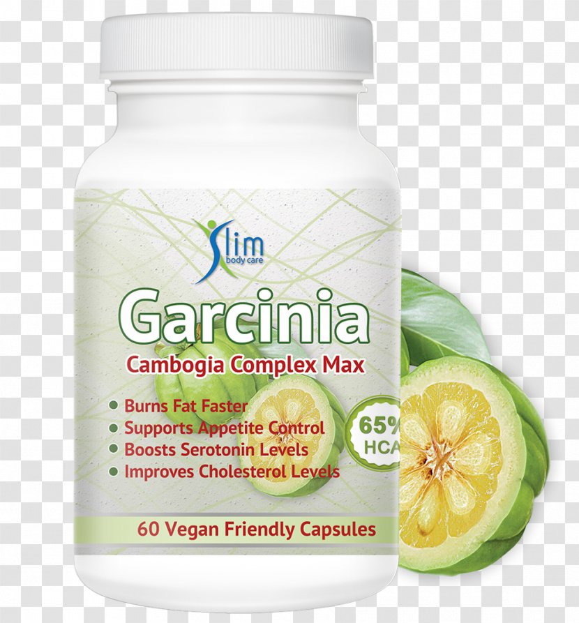Garcinia Gummi-gutta Flavor Anorectic Fruit - Amyotrophic Lateral Sclerosis Transparent PNG