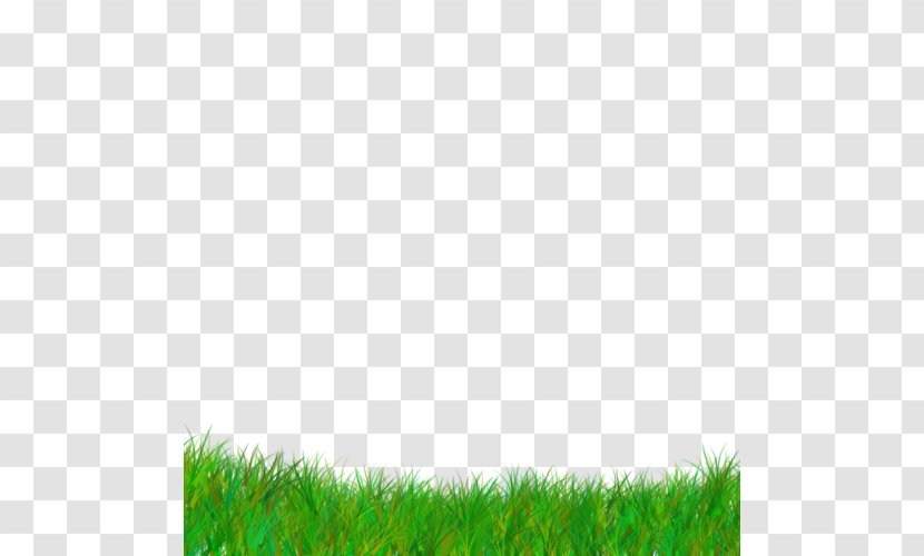 Green Grass Background - Family - Field Fodder Transparent PNG