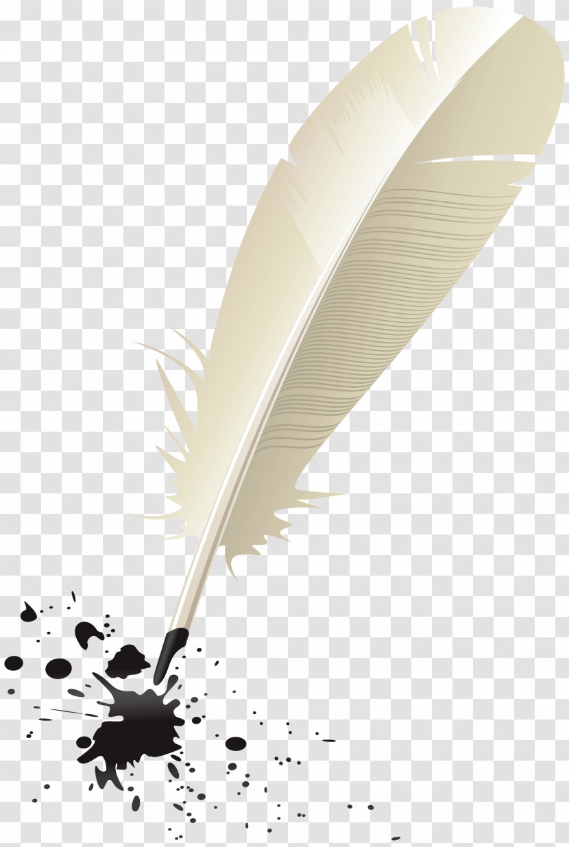 Feather - Office Instrument - Natural Material Transparent PNG