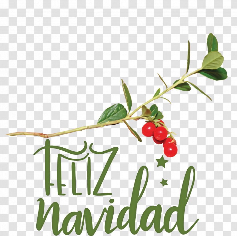 Feliz Navidad Merry Christmas Transparent PNG