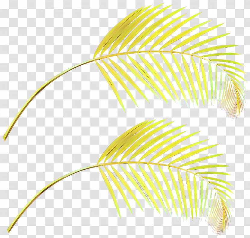 Leaf Yellow Line Plant Clip Art Transparent PNG