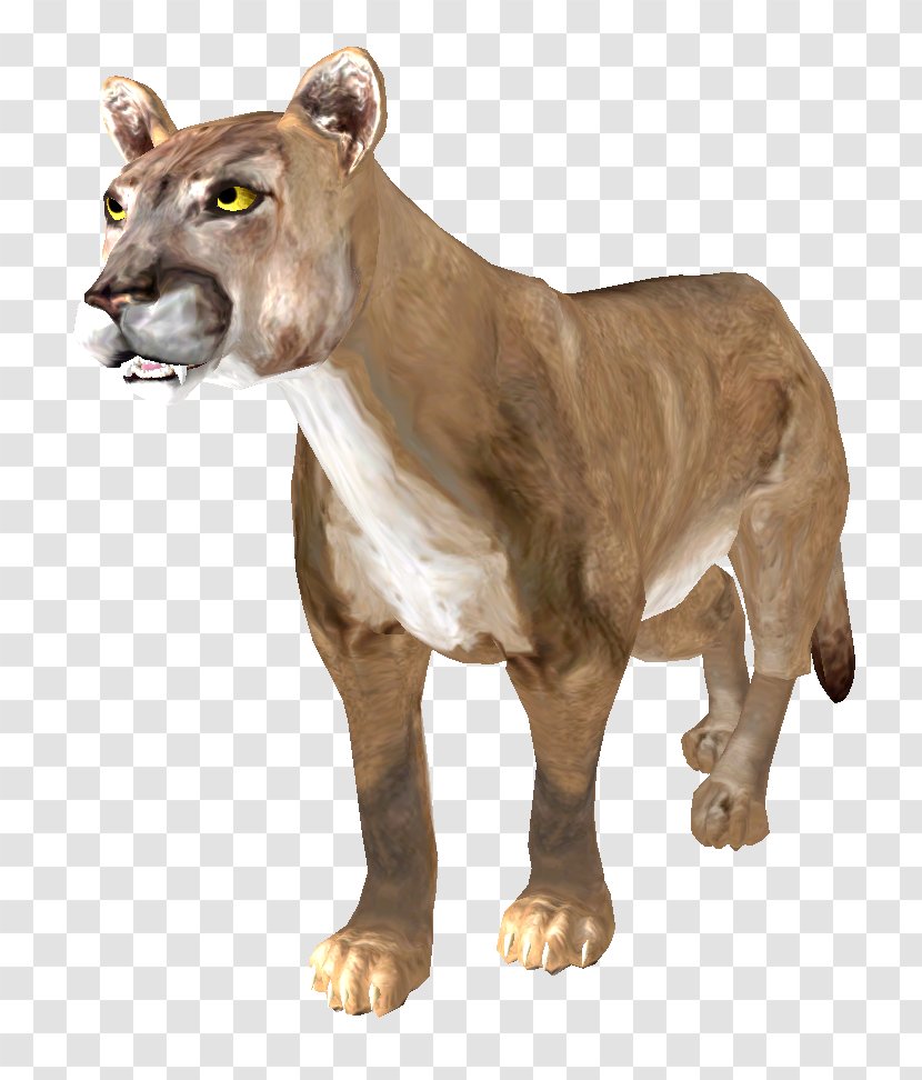 Lion Shivering Isles Cougar The Elder Scrolls III: Bloodmoon An Legend: Battlespire - Terrestrial Animal - Face Transparent PNG