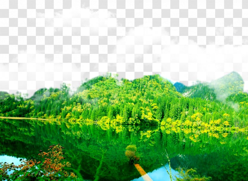 2017 Jiuzhaigou Earthquake Huanglong Waterfall National Park - Lake Forest Background Transparent PNG
