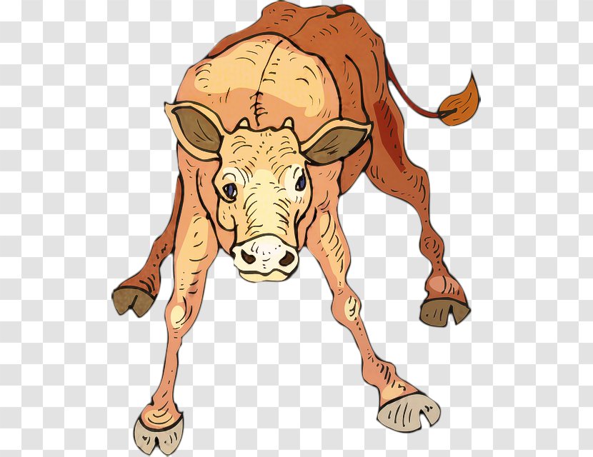 Animal Cartoon - Muscle - Figure Livestock Transparent PNG