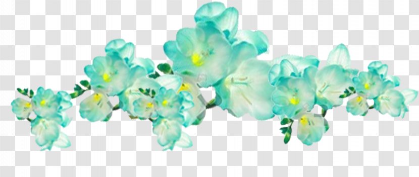 Blue Green Aqua Flower Menta - Cyan - Optical Science And Technology Transparent PNG