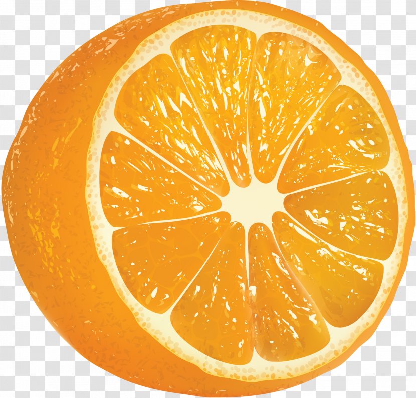 Vector Graphics Clip Art Orange Image - Clementine Transparent PNG
