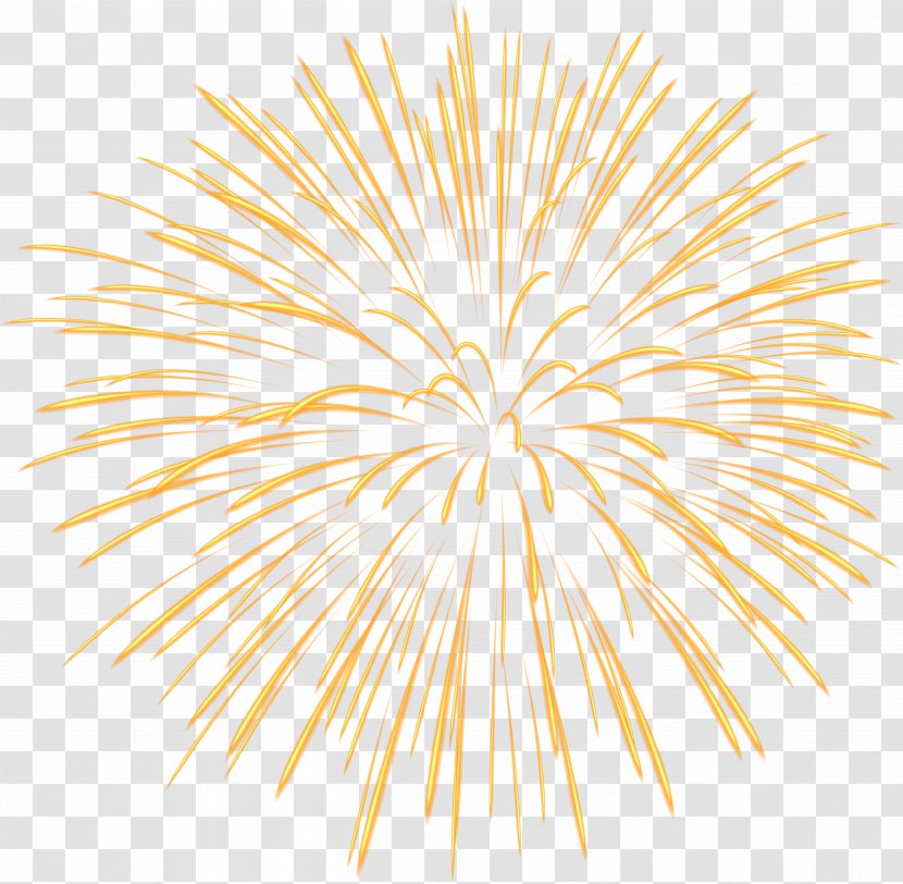 London Lord Mayor's Show Consumer Fireworks Independence Day - Yellow Firework Transparent PNG Image Transparent PNG