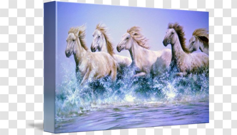 Mustang Arabian Horse Thoroughbred Watercolor Painting - Livestock - Running Water Transparent PNG