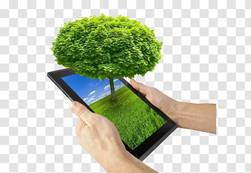 Environmentally Friendly Carpet Green Computing Business - Tree On Your Computer Transparent PNG