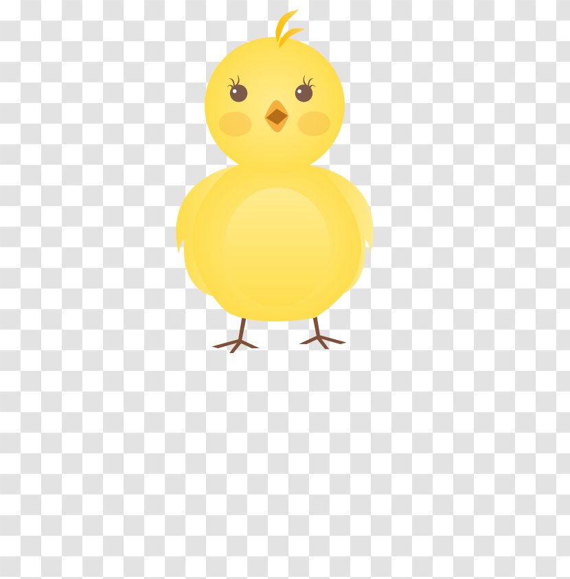 Chicken Cartoon - Animation - Cute Chickens Transparent PNG