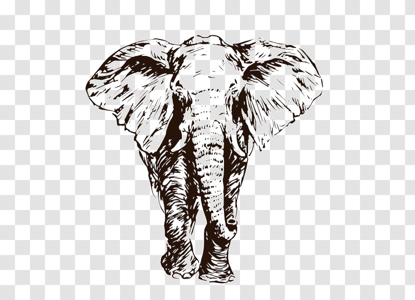 Indian Elephant Drawing : Learn how to draw indian elephant pictures