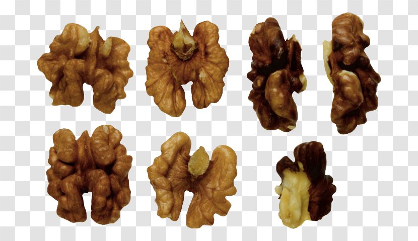 Walnut Hazelnut Food - Omega3 Fatty Acid - Photos Transparent PNG