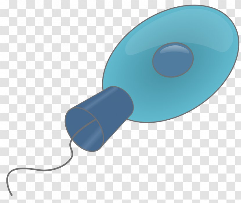 Animal Choanoflagellate Unicellular Organism Evolution Sponge - Tyrosine Kinase - Flagellate Transparent PNG