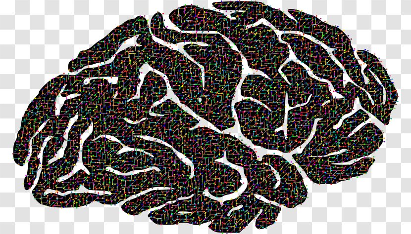 Brain Neuron Clip Art Image Nervous System - Tree - Molecular Structure Background Transparent PNG