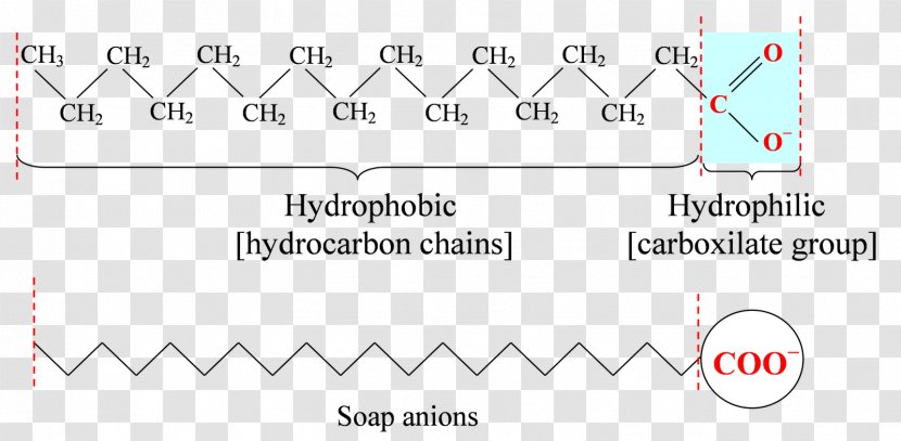 Carboxylic Acid Fatty Palmitic Carboxyl Group - Chain - Ocean Surface Transparent PNG