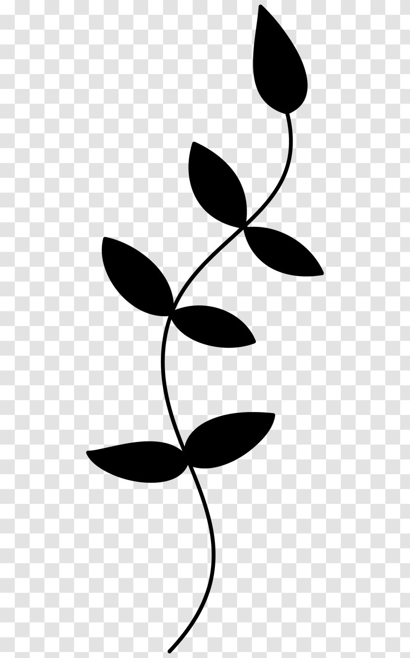 Clip Art Leaf Plant Stem Pattern Silhouette - Branch Transparent PNG