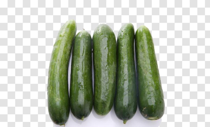 Pickled Cucumber Spreewald Gherkins Vegetable - Organic Autumn Transparent PNG