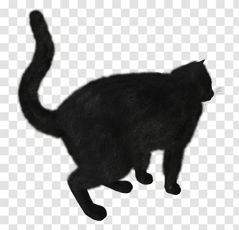 Black Cat Clip Art - Whiskers Transparent PNG