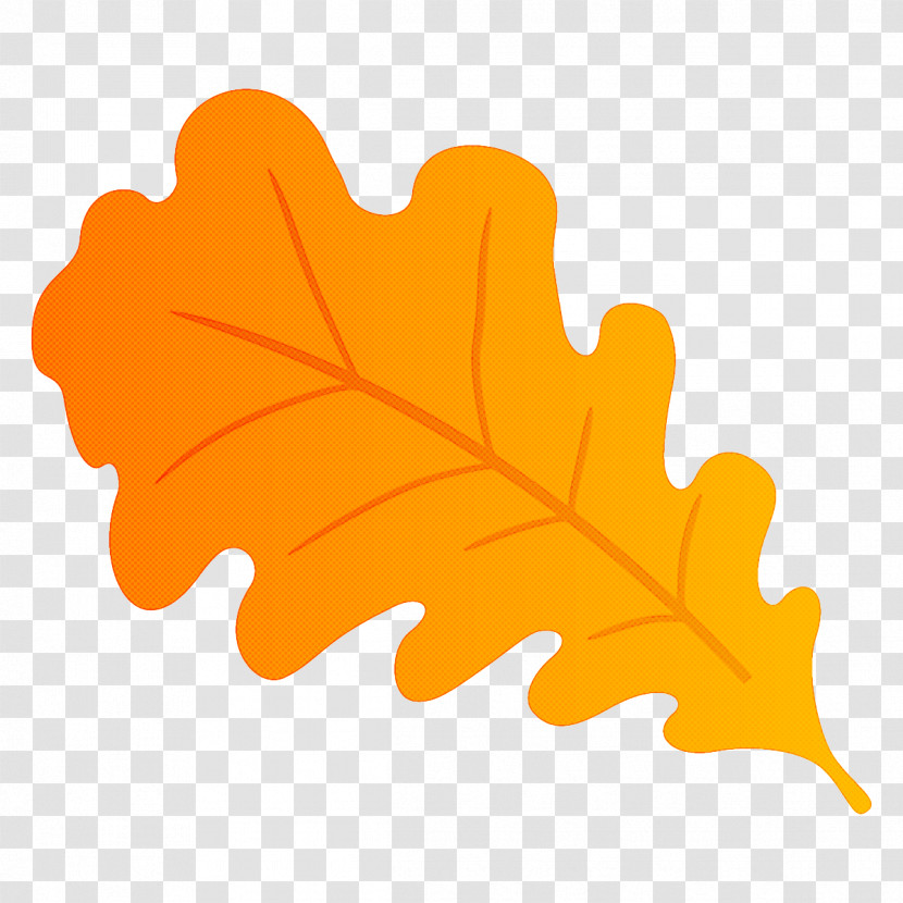 Oak Leaf Autumn Leaf Fall Leaf Transparent PNG