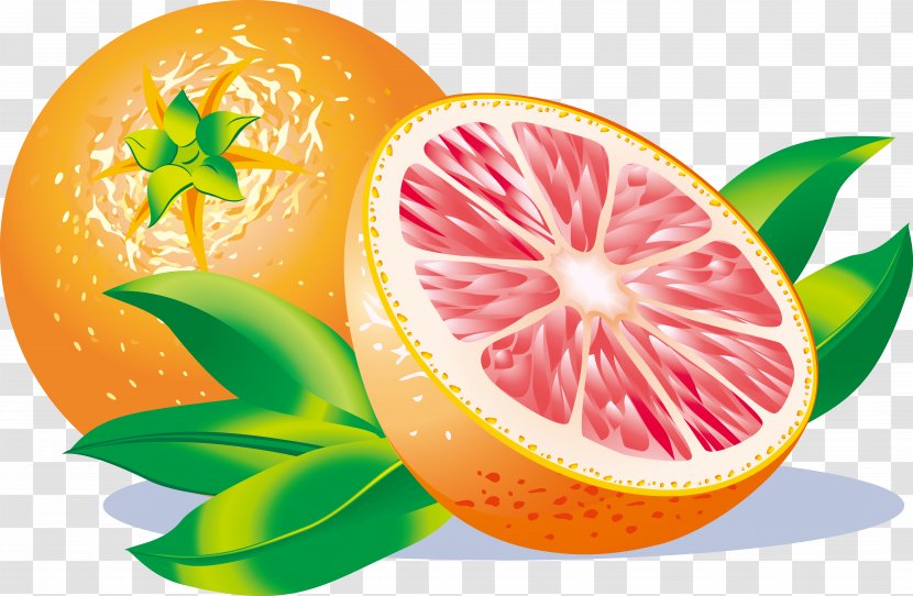 Grapefruit Juice Sour Lemon - Peel - Cartoon Vector Material Transparent PNG
