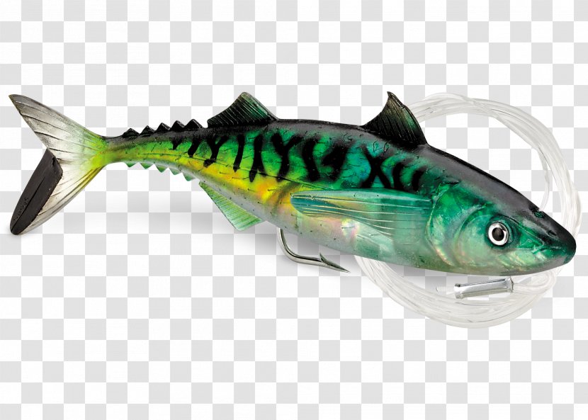 Fishing Baits & Lures Plug Mackerel - Oily Fish Transparent PNG