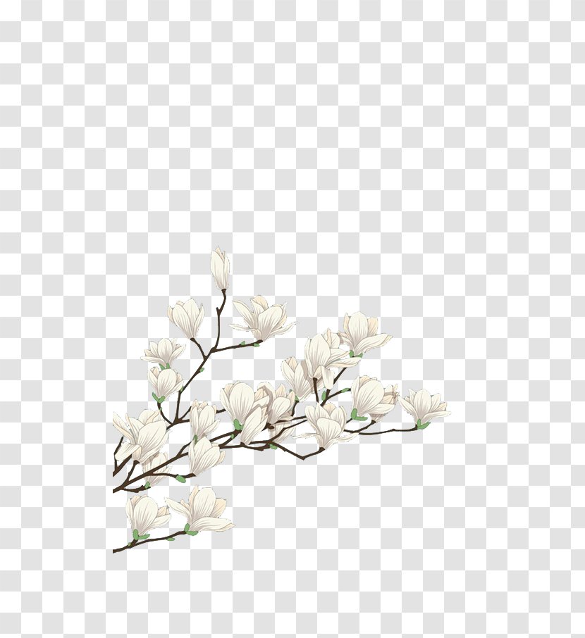 Flower White Computer File - Cut Flowers Transparent PNG