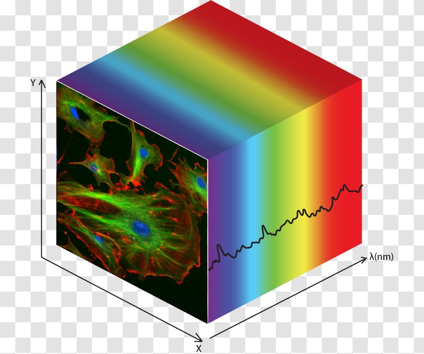 Hyperspectral Imaging Data Cube Photon Etc. Market Analysis Multispectral Image Transparent PNG