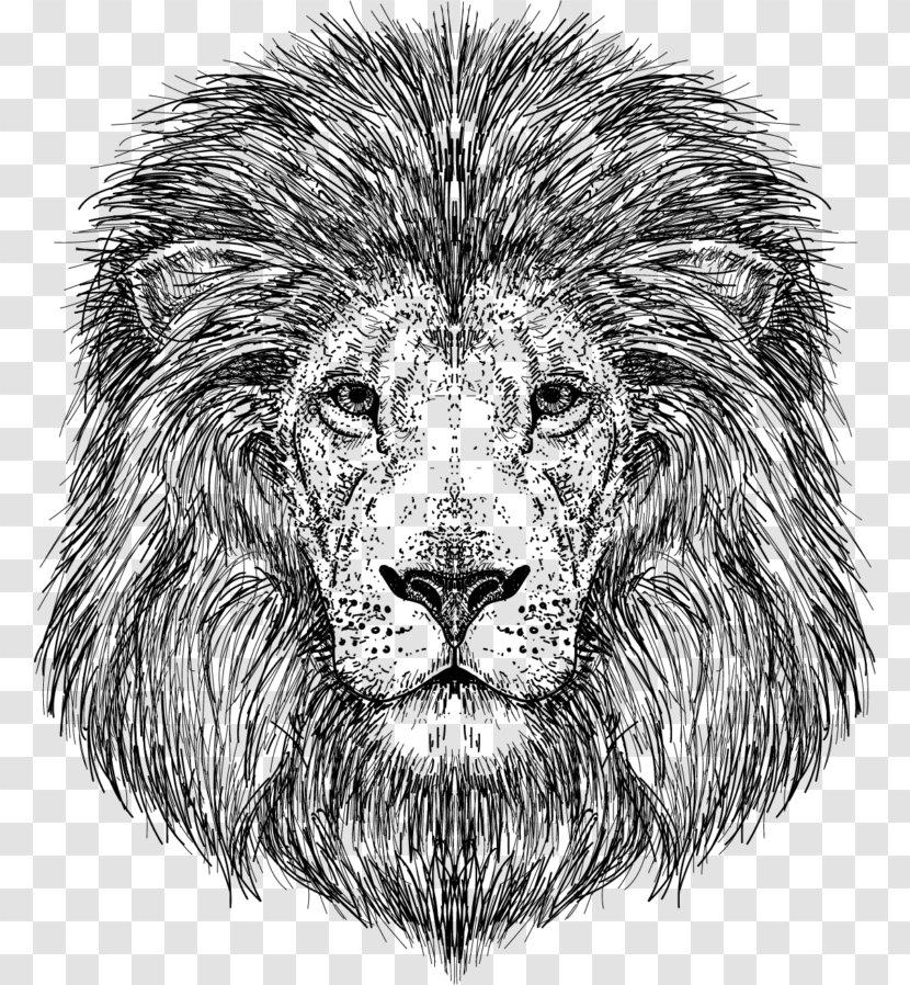 Zach Menshouse Monkey Bar Cypher Lion Amazon.com Music - Artwork - Drawing Lions Roar Transparent PNG