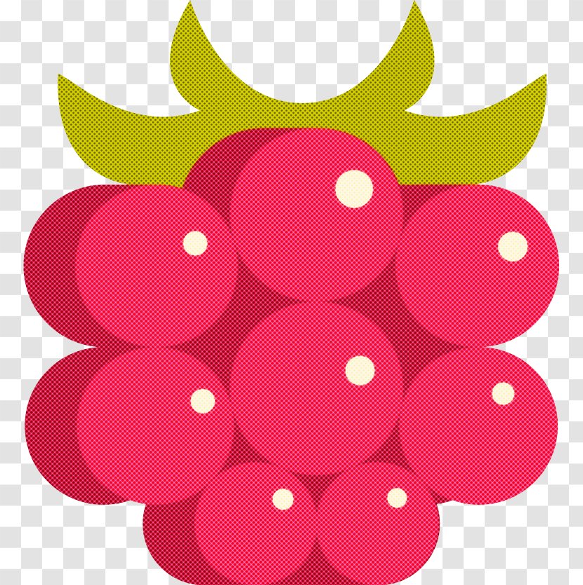 Pink Red Magenta Fruit Circle - Seedless - Grape Transparent PNG