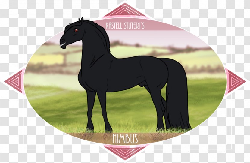 Stallion Mustang Foal Mare Colt - Horse Supplies Transparent PNG