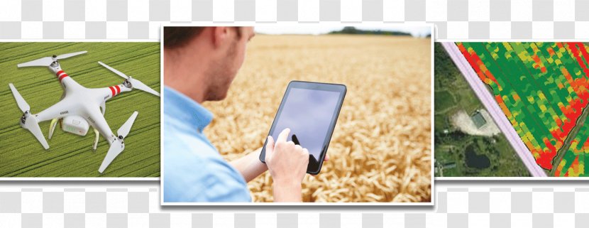 Effigis Presents Its Nitrogen Rate Calculating Platform SCAN At Precision Agriculture Conference & Ag Tech Showcase Farm Technology - High - Wheat Fealds Transparent PNG