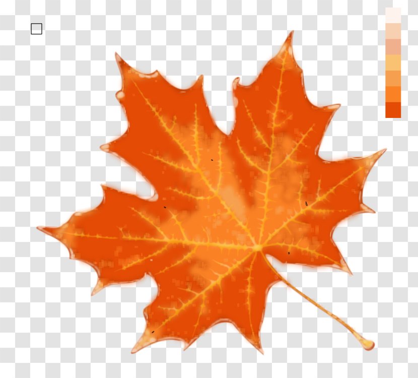 Stock Photography Maple Leaf Royalty-free IStock Autumn Color - Autum Leaves Transparent PNG