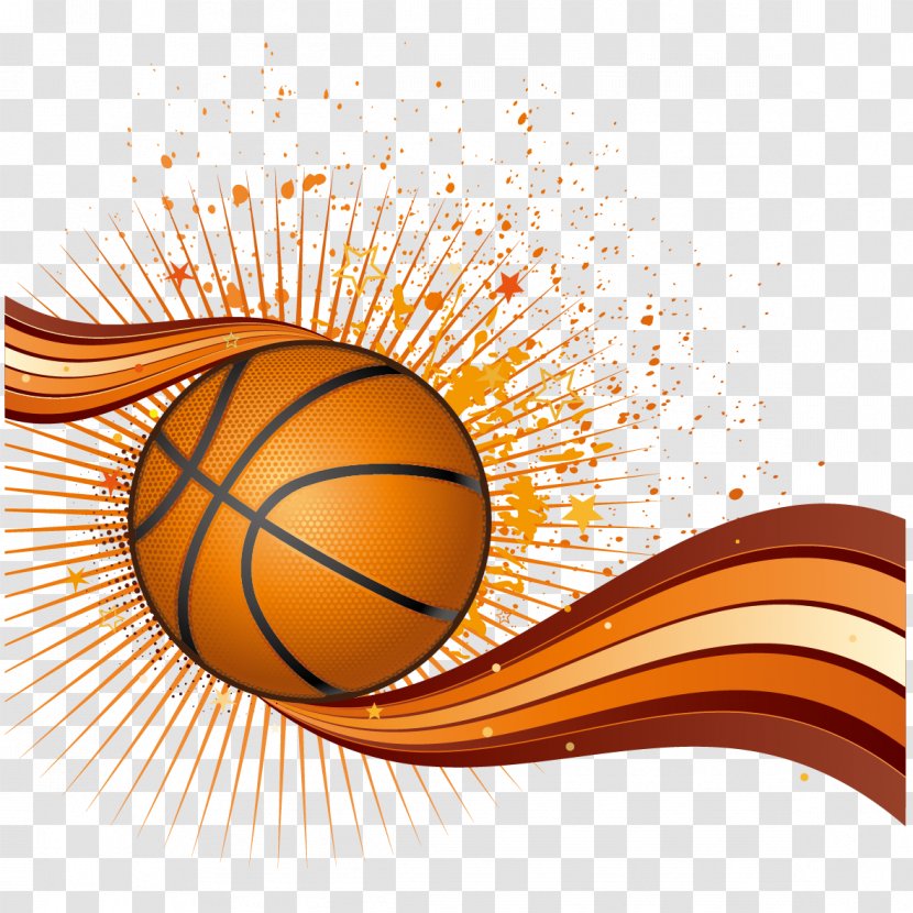 Basketball Euclidean Vector - Ball - And Watercolor Transparent PNG