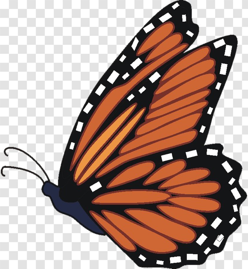 Monarch Butterfly Clip Art - Cartoon Transparent PNG