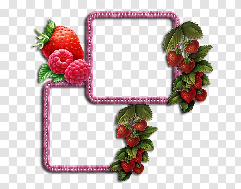 Picture Frames Painting Drawing Molding - Fruit Transparent PNG