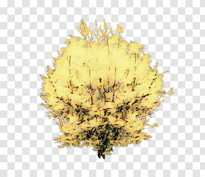 Yellow Tree - Leaf Transparent PNG