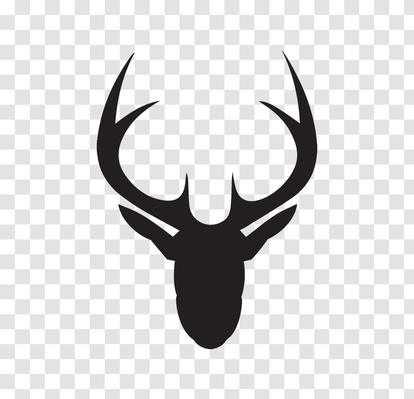 Deer Clip Art - Horn Transparent PNG