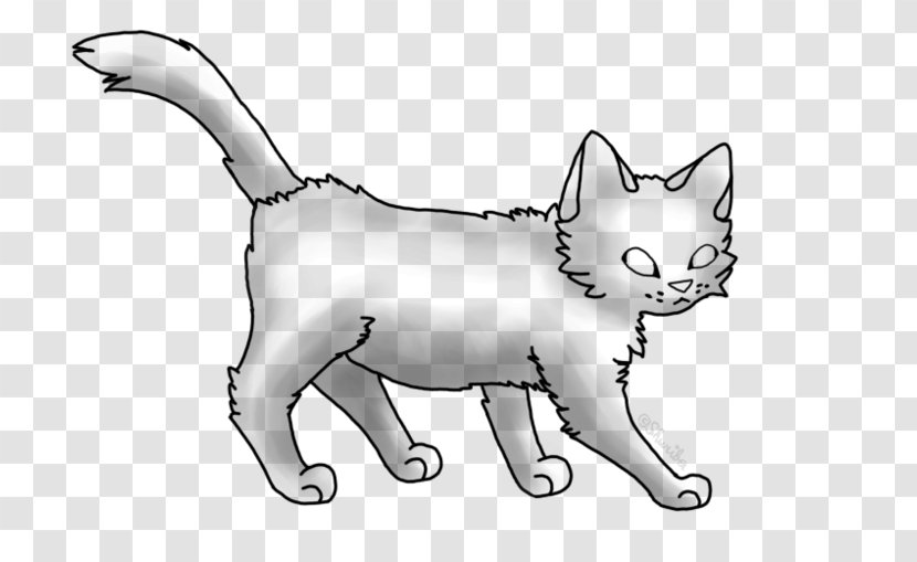 Kitten Line Art Drawing Whiskers Transparent PNG