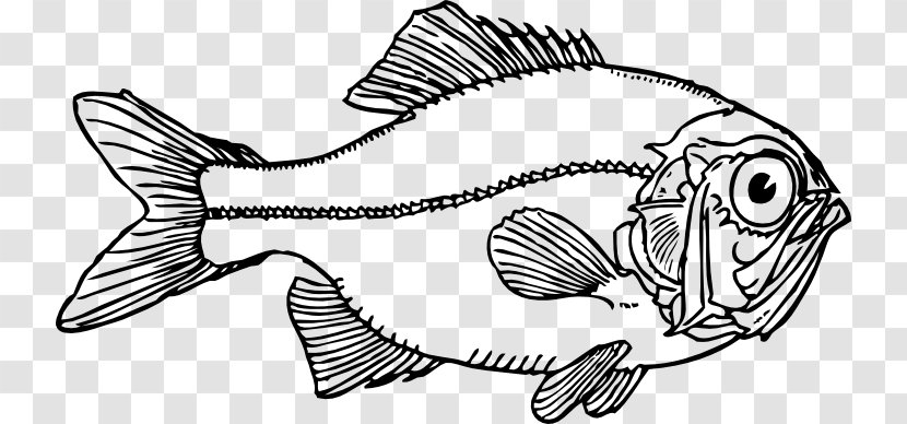 Fish Line Art Clip - Seafood - Bing Transparent PNG