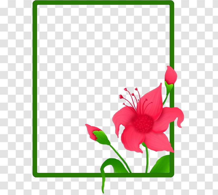 Floral Design Cut Flowers Plant Stem - Accion Banner Transparent PNG