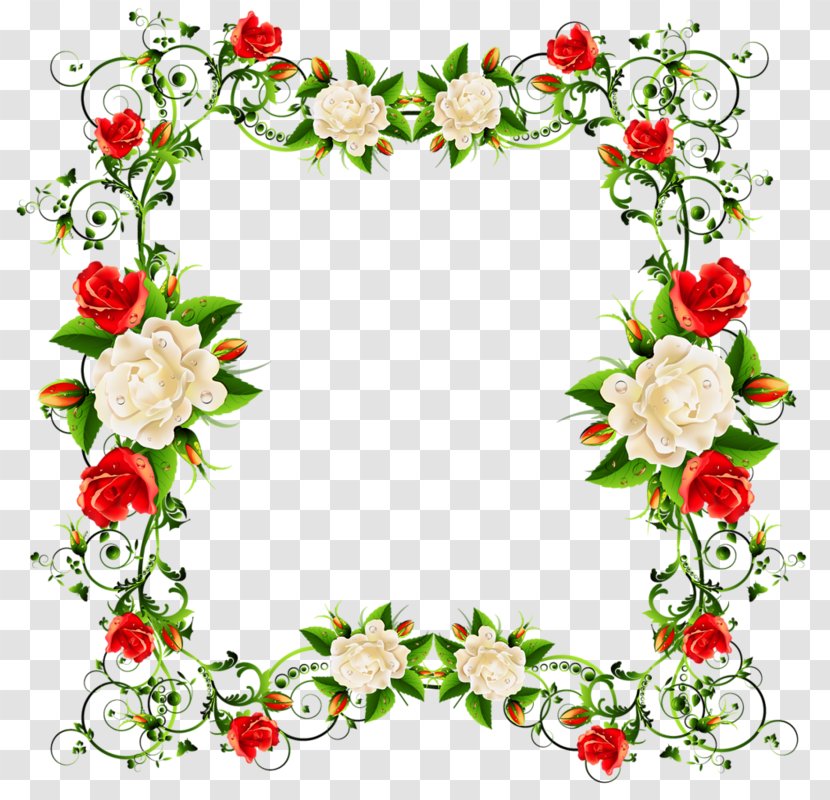 Garden Roses Cut Flowers White - Flower - Rose Transparent PNG