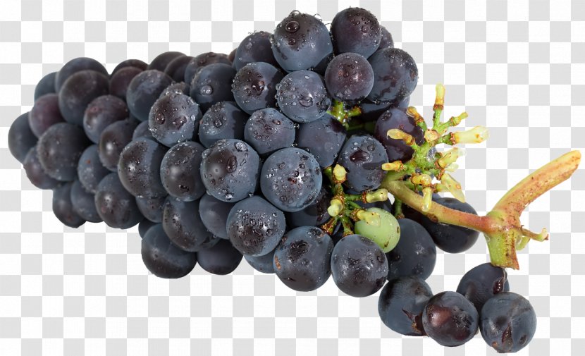 Wine Common Grape Vine Food Seedless Fruit - Plant Transparent PNG