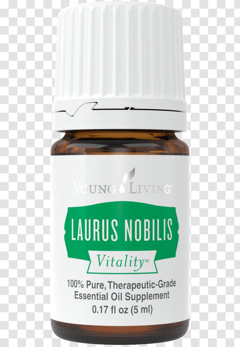 Guacamole Young Living Essential Oil Lime - Laurus Nobilis Transparent PNG
