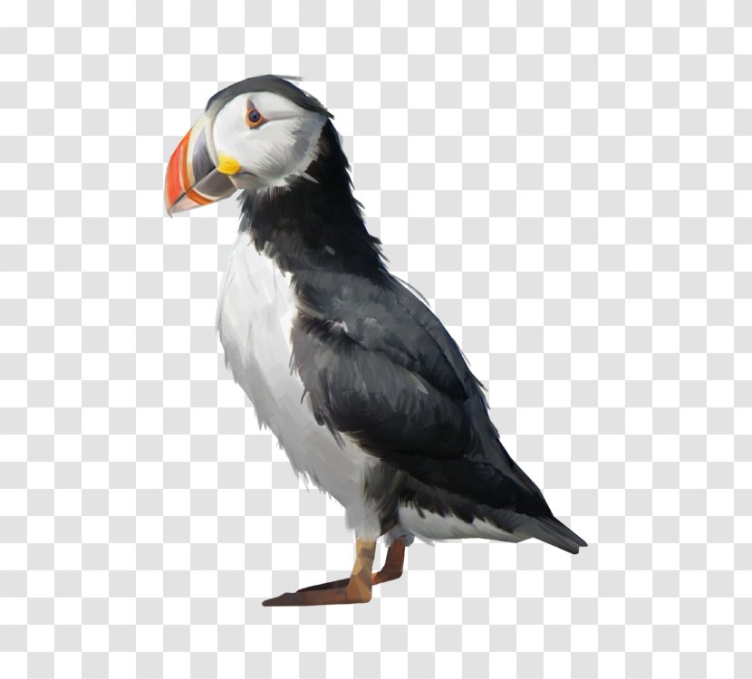 Puffin Ship Whaler Beak Art Transparent PNG